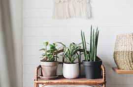 5 x using repurposed furniture as plant stands and support