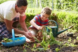 6 tips for a thriving non-toxic garden