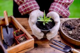 Five benefits of joining a local gardening club