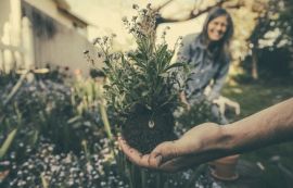 Guide to gardening for the wellbeing