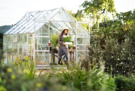 Guide to greenhouse gardening