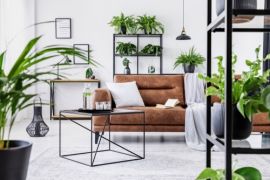 Home trend: Indoor Urban Jungle