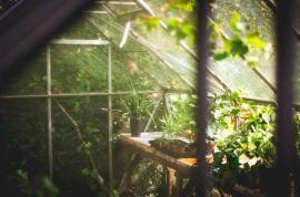 How to clean up your greenhouse?