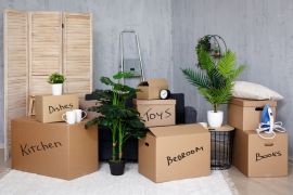 Move house without damaging your plants