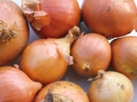 Sow onion seeds this week