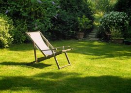 Restoring your lawn in spring